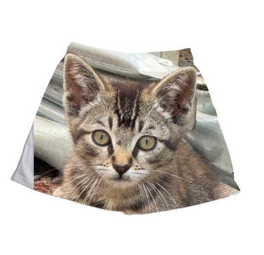 Sublimated Mesh Shorts