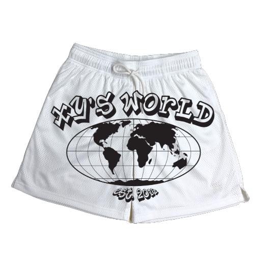 25 Sublimated Mesh Shorts