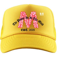 Thumbnail for Embroidered Foam Trucker Hats